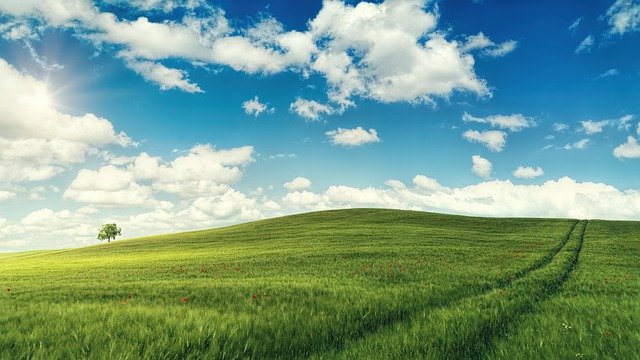 軍公教遺族及身心障礙榮軍子女就學費用優待申請事宜