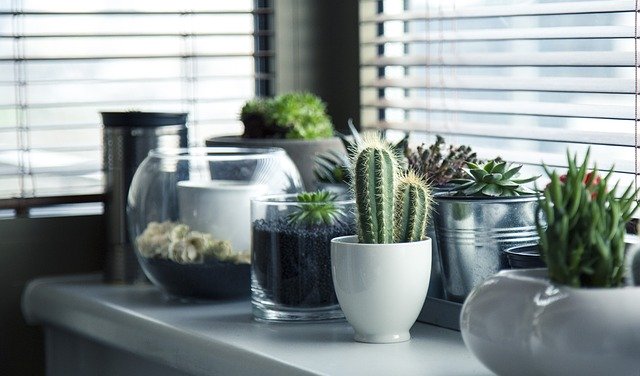 轉知國教署生命教育專業發展中心辦理「生命教育與社會情緒教育（SEL）工作坊」一案
